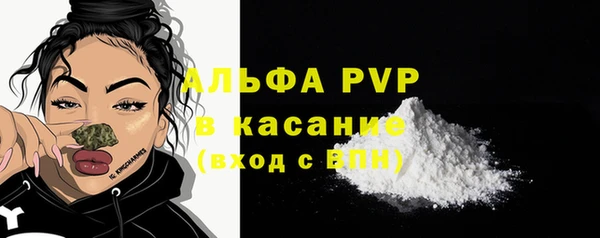 спиды Лагань