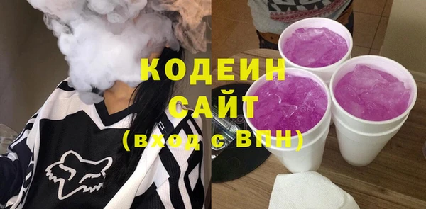 спиды Лагань