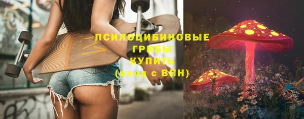 ECSTASY Ладушкин
