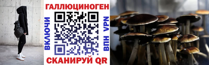 как найти закладки  Усть-Илимск  Псилоцибиновые грибы прущие грибы 