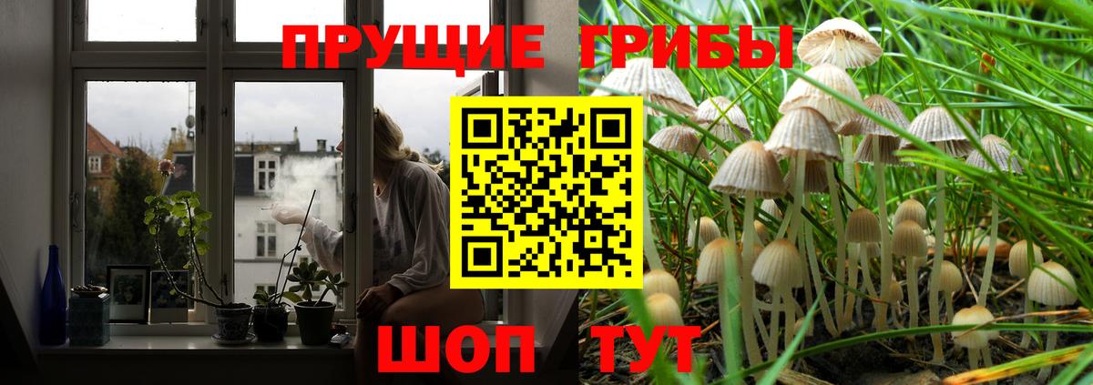 Псилоцибиновые грибы мицелий  наркошоп  Вход с VPN  Усть-Илимск  Псилоцибиновые грибы прущие грибы 
